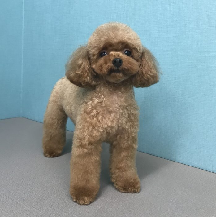 ＡＭＥちゃん