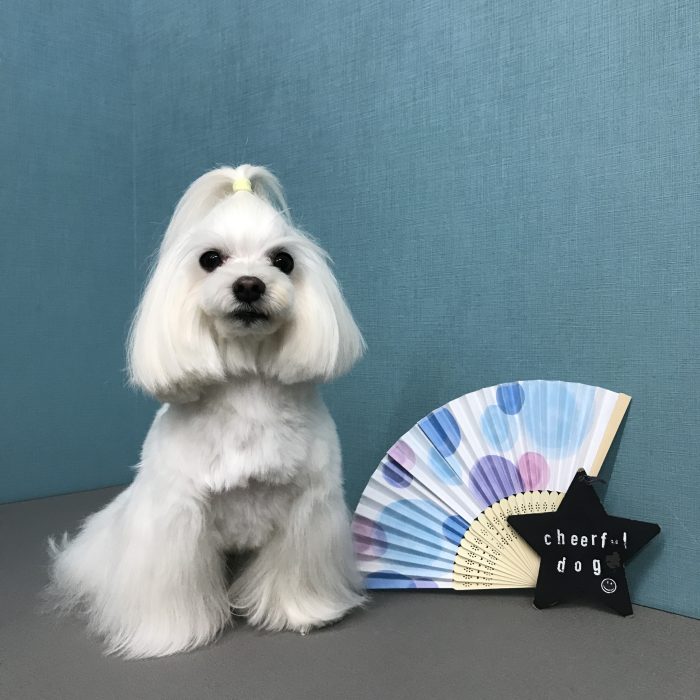 山下　トネインくん
