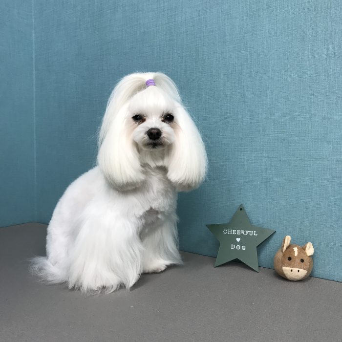 山下　トネインくん