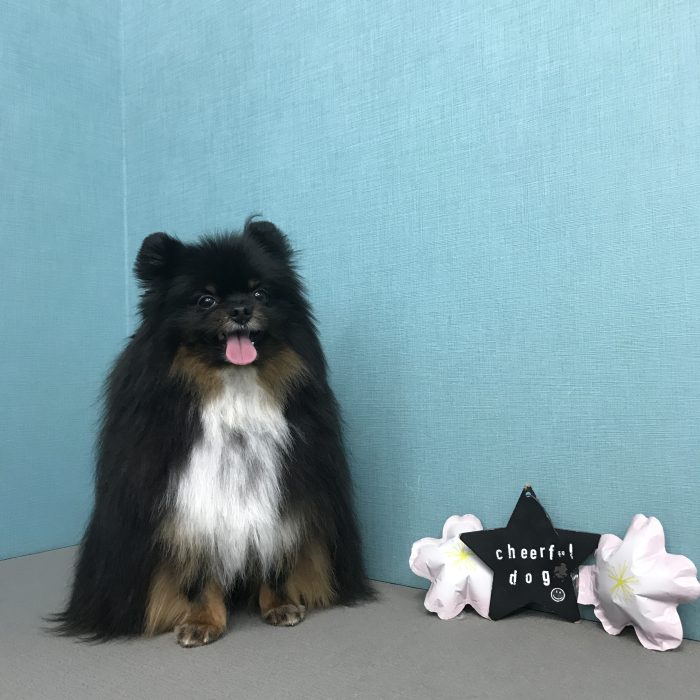室井　ユージーンくん
