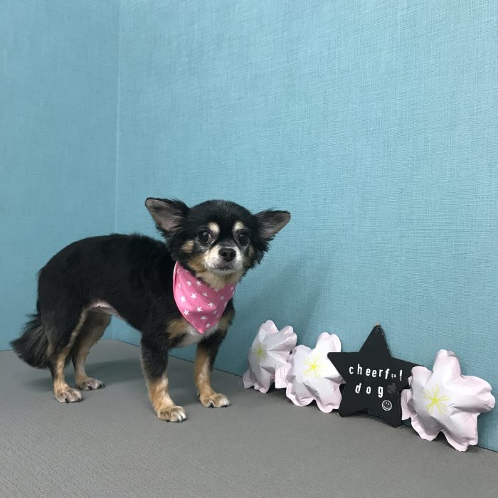 﨑川　もみじちゃん