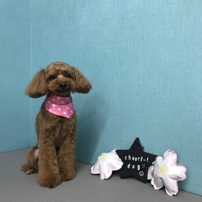 竹田　アビィちゃん