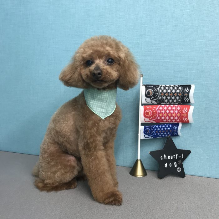 若松　アトムくん