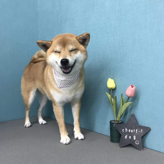 安田　むぎちゃん