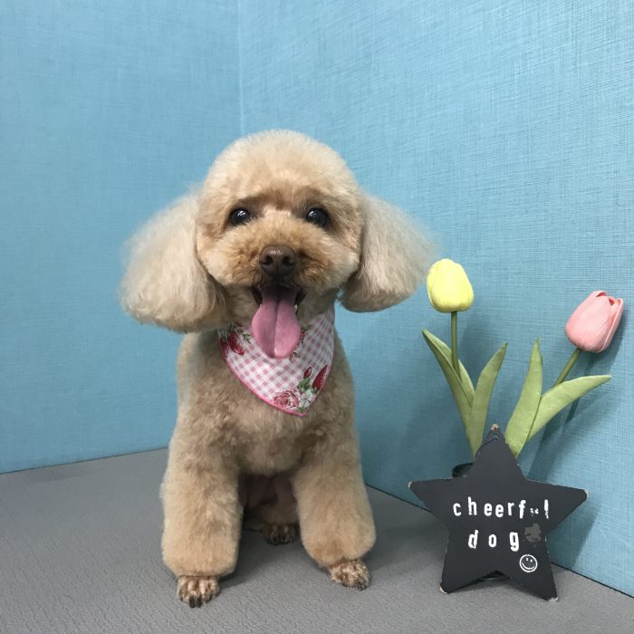 大久保　ミライちゃん