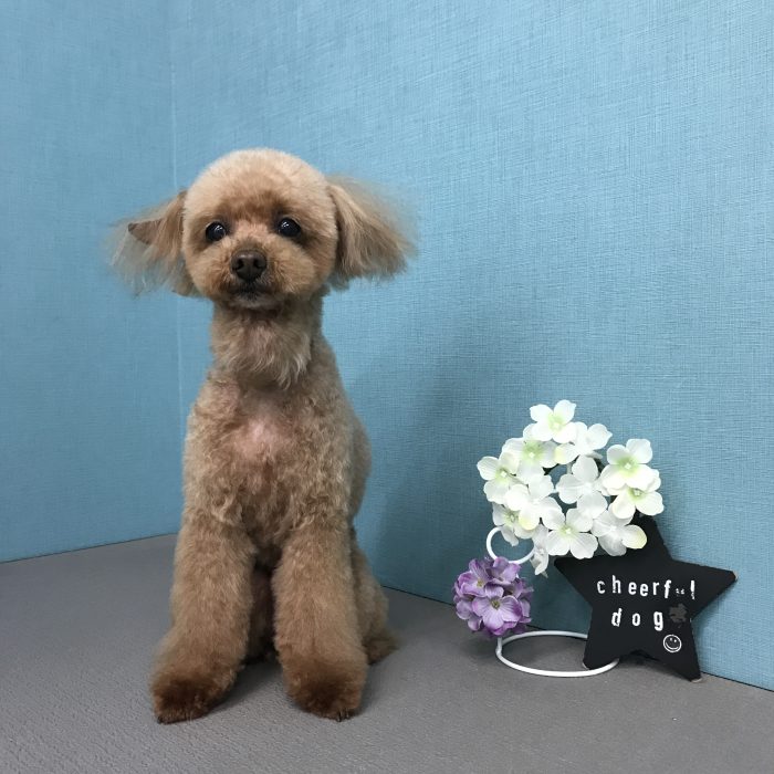 加藤　ココくん