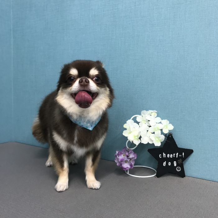 関　ライくん