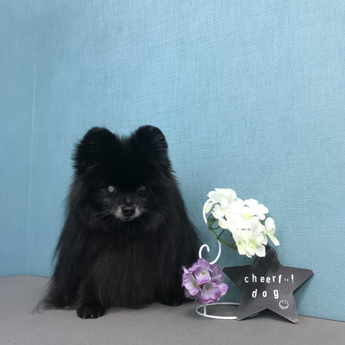 室井　パミュパミュちゃん