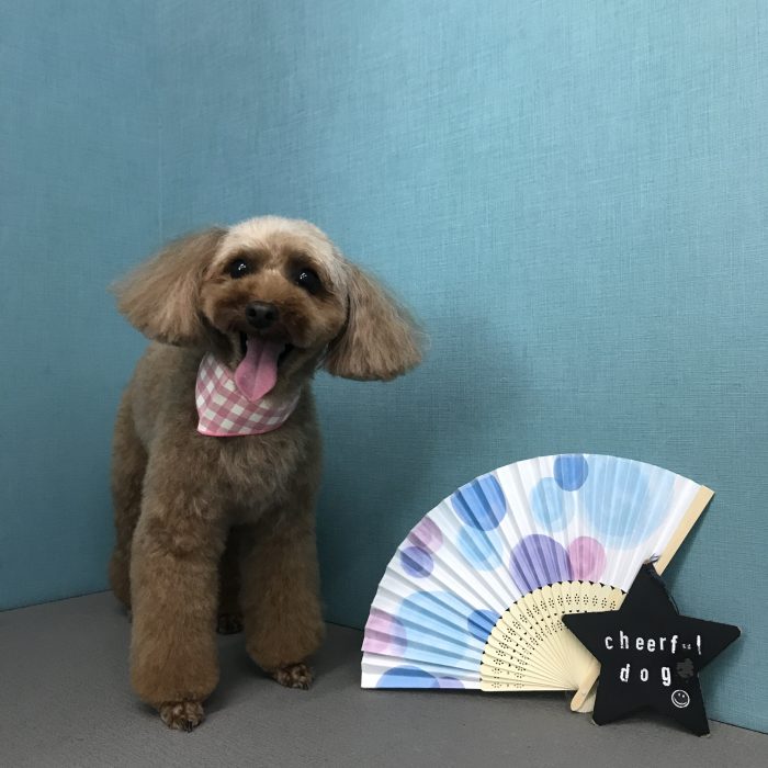 小鍛治　さつきちゃん