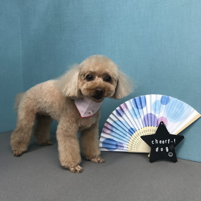 大久保　ミライちゃん