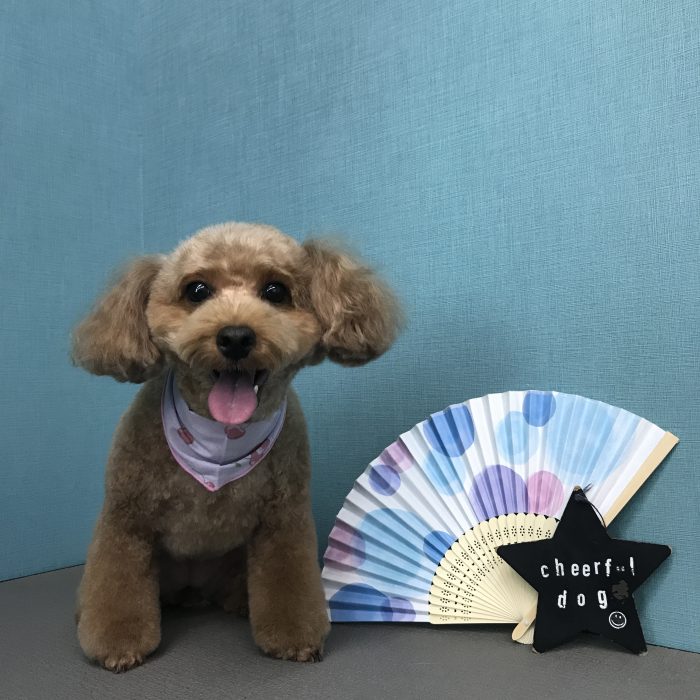 伊東　ルイちゃん