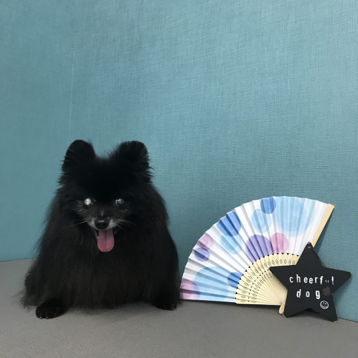 室井　パミュパミュちゃん