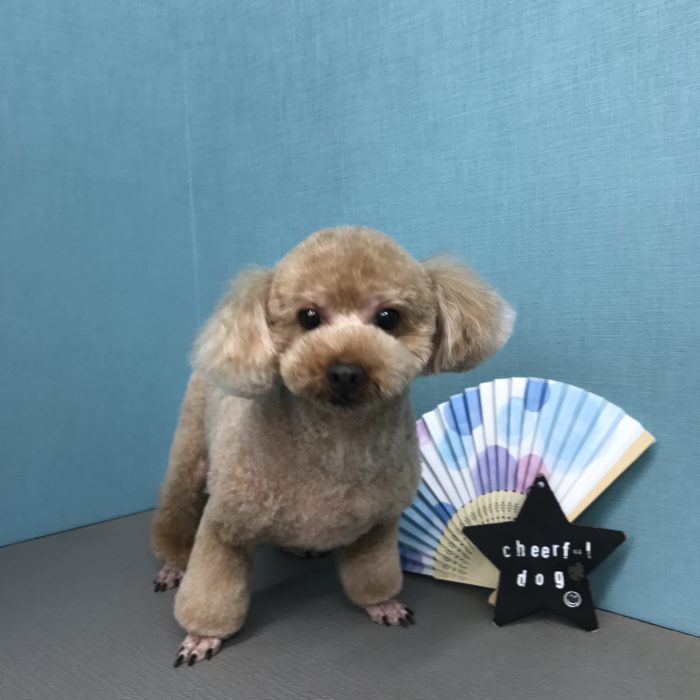 向出　ユッキくん