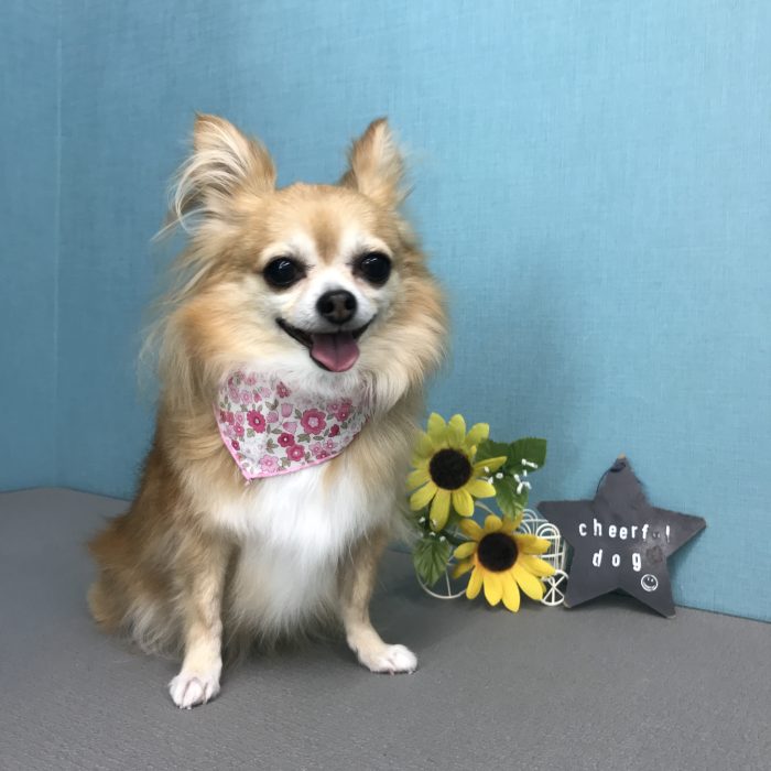 鈴木　花ちゃん