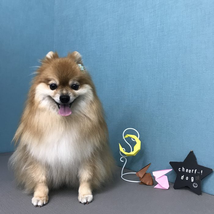 小林　福くん