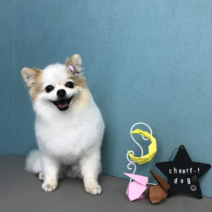 安高　タケくん