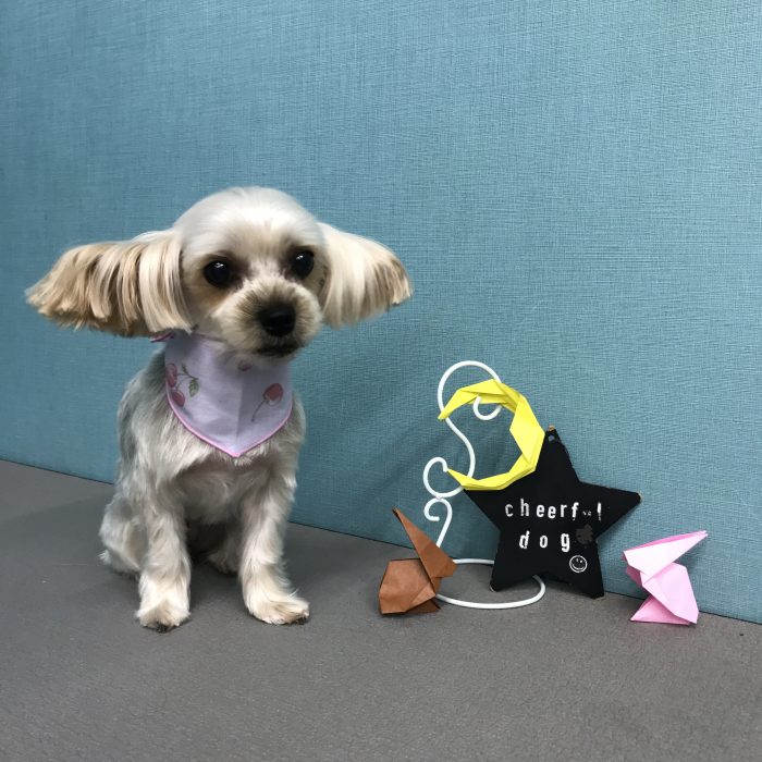 川西　Ｓｋｙちゃん