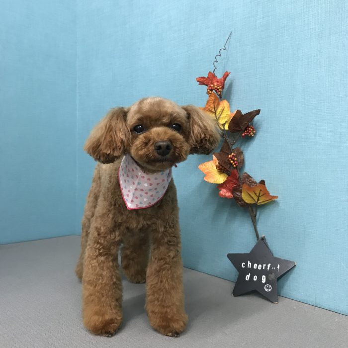 竹田　アビィちゃん