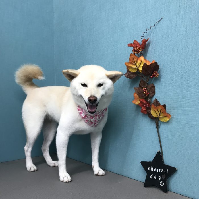 中西　神龍ちゃん