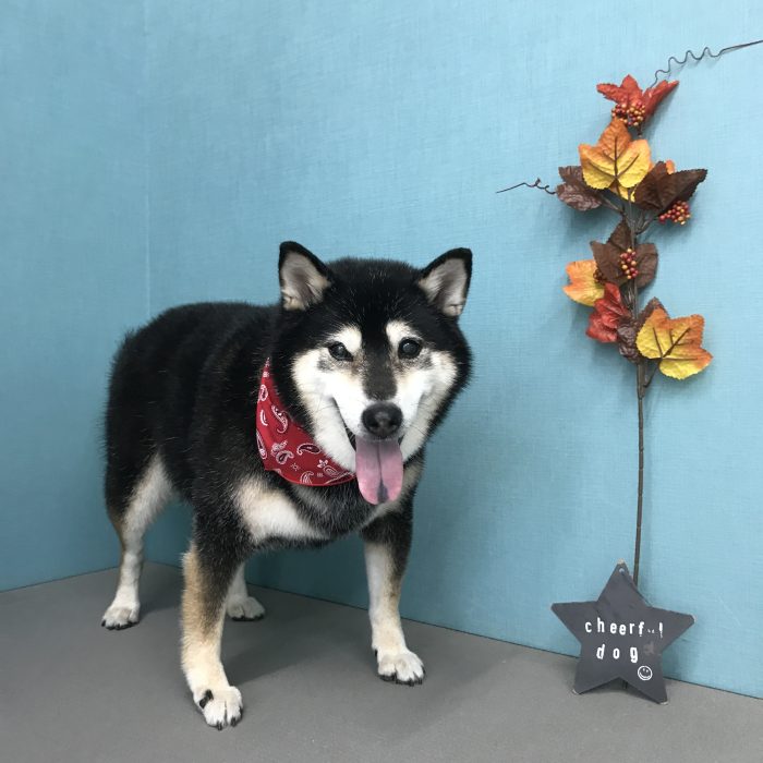 下　リコちゃん