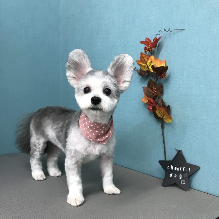 中島　モアナちゃん