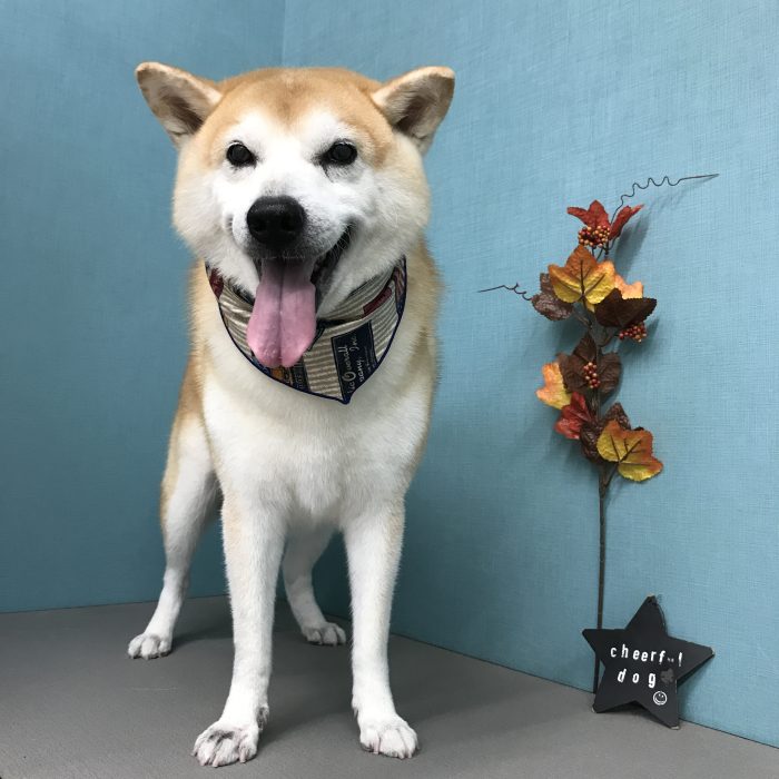 城田　わん太郎くん