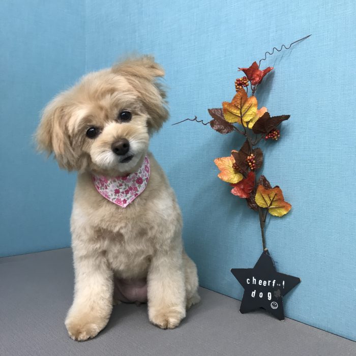 川上　むぎちゃん