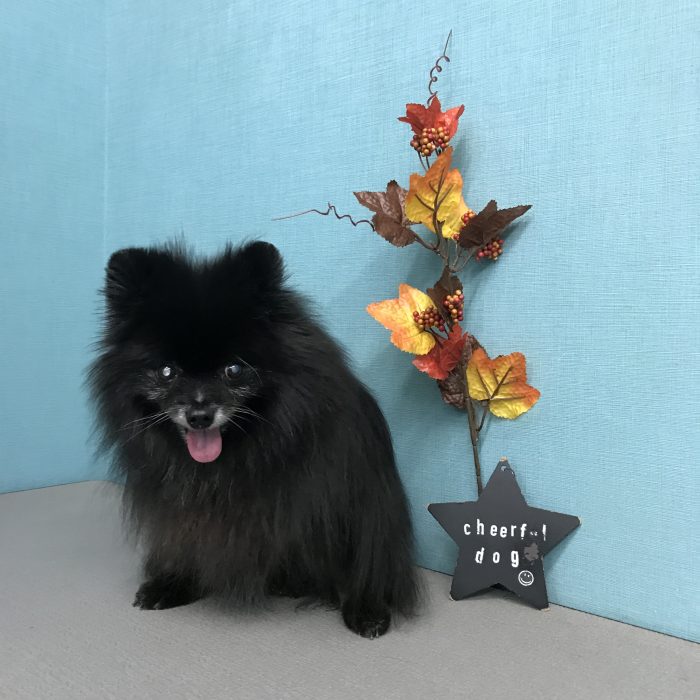 室井　パミュパミュちゃん