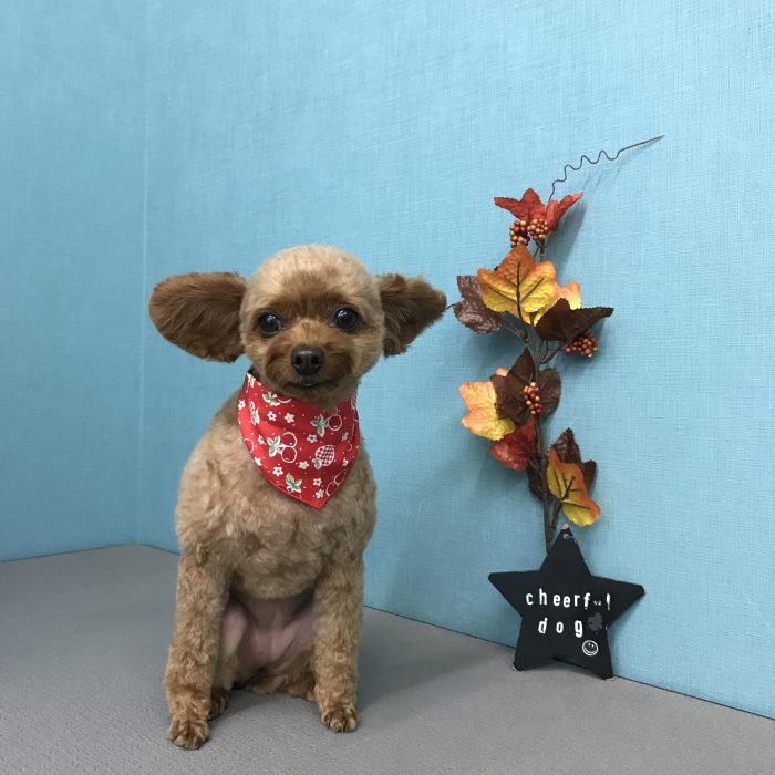 中嶋　ハナちゃん