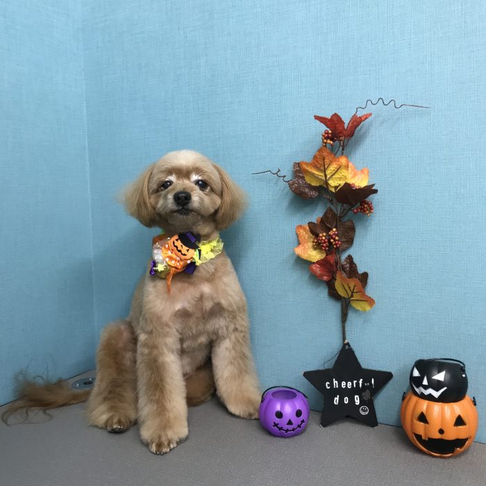 北村　オレオくん