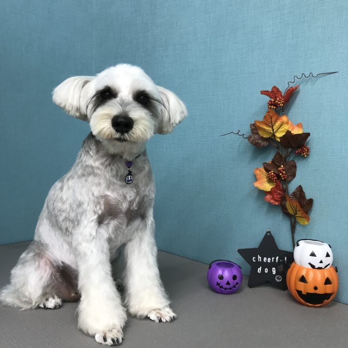 坪内　ソラちゃん