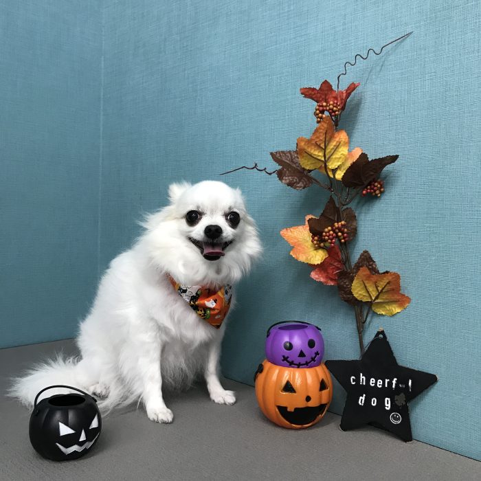 越村　ましろちゃん