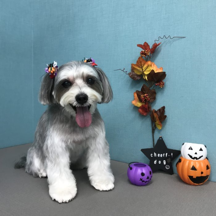 谷口　サラちゃん