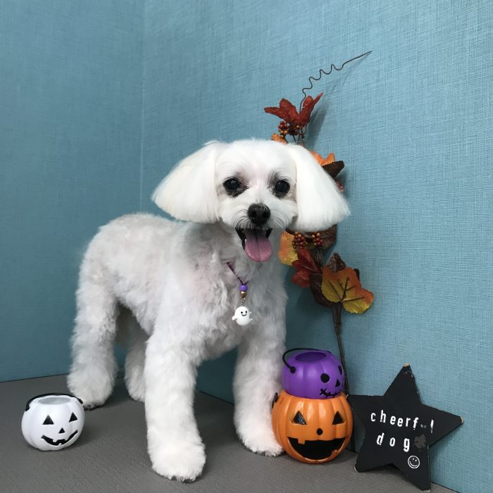 頼光　リラちゃん