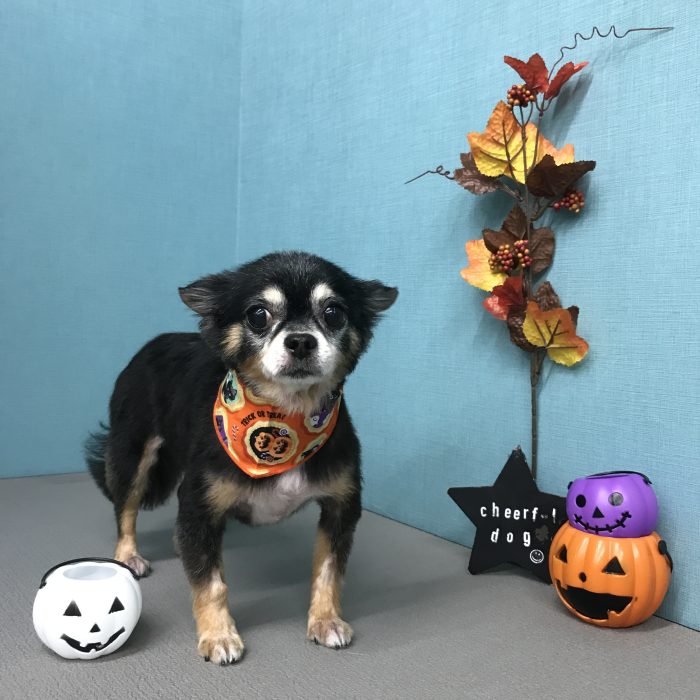 﨑川　もみじちゃん