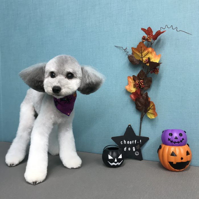 山元　空夢くん