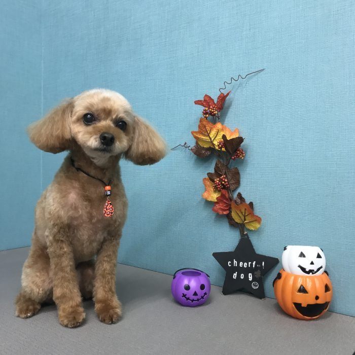 清水　リリィちゃん