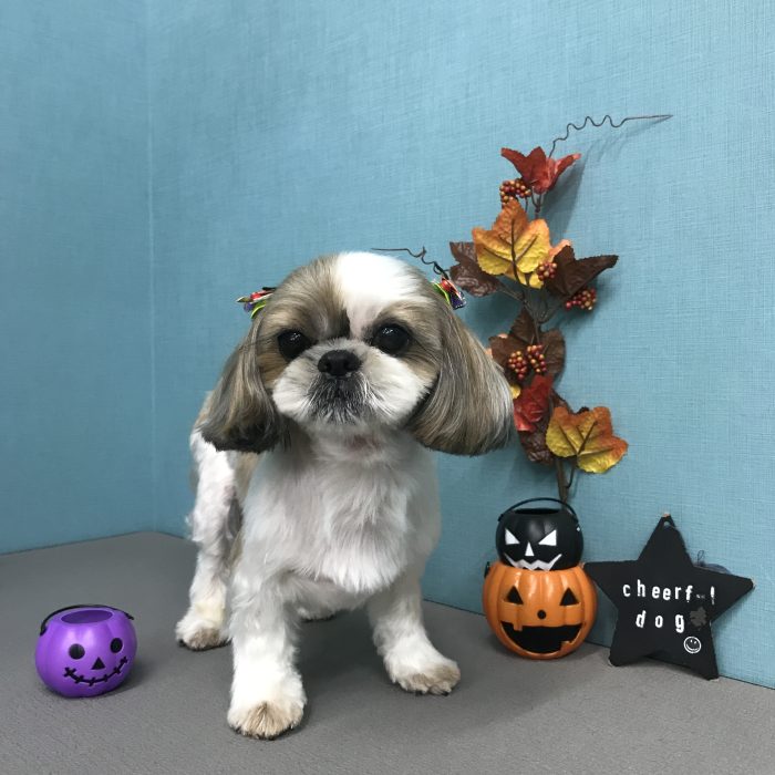 大辺　ころ介くん