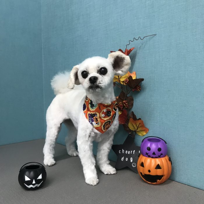 土井　ファミちゃん