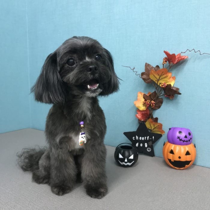 江崎　メイちゃん