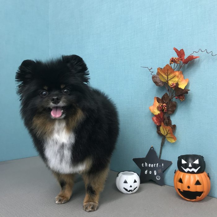 室井　ユージーンくん