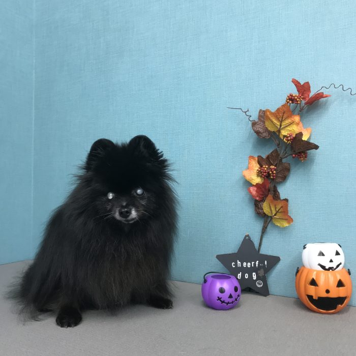 室井　パミュパミュちゃん