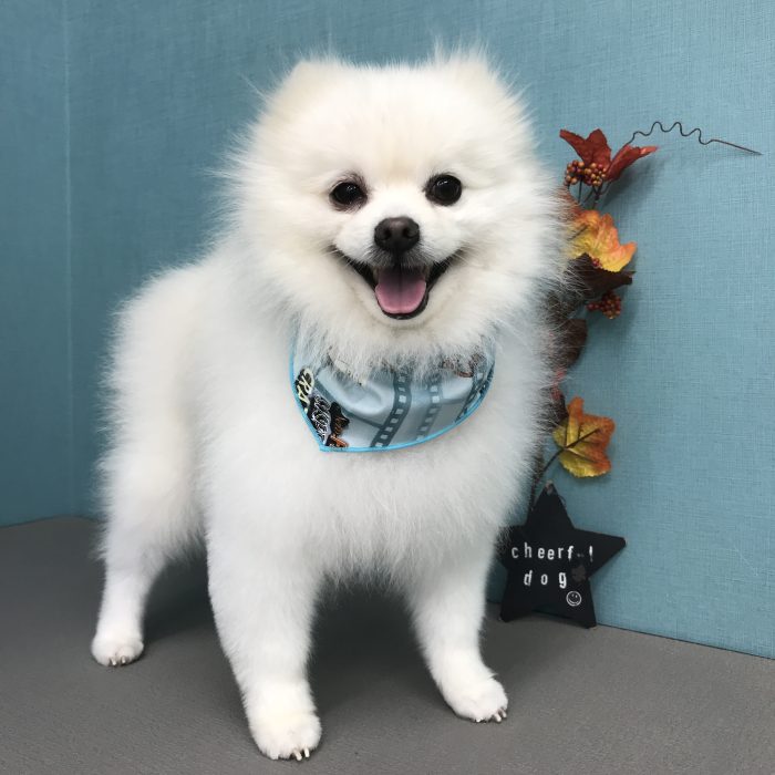 北川　モンくん