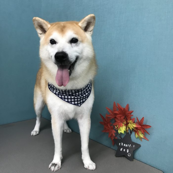 城田　わん太郎くん