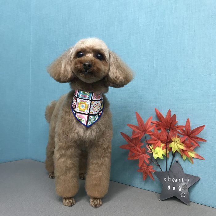 小鍛治　さつきちゃん