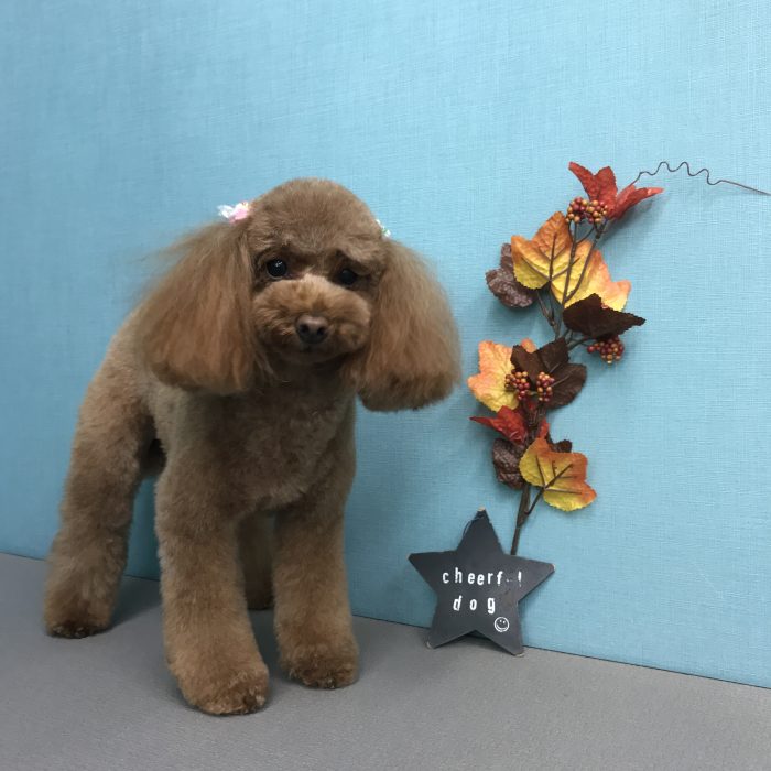 山下　ひめちゃん