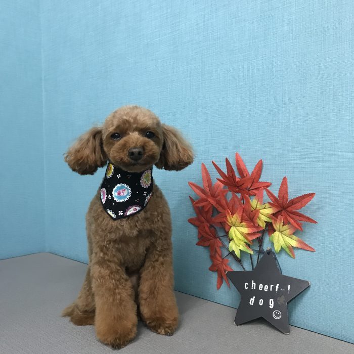 竹田　アビィちゃん