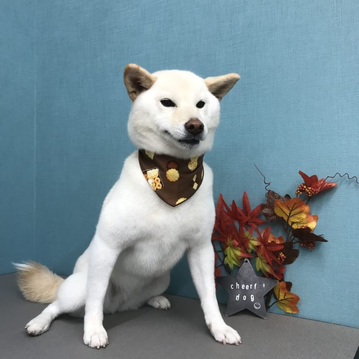 中西　神龍ちゃん