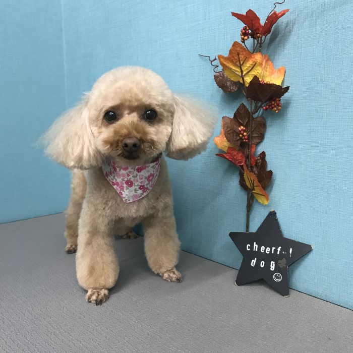 大久保　ミライちゃん