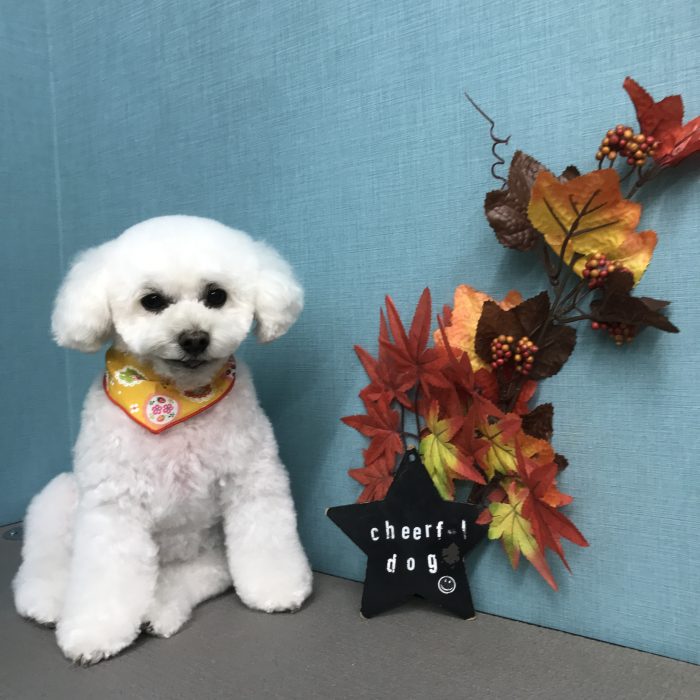 赤澤　美凜ちゃん